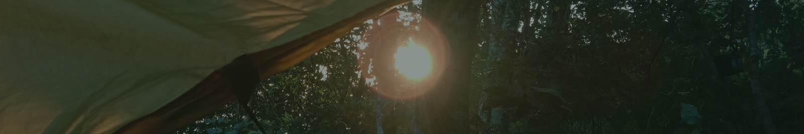 Blogs banner