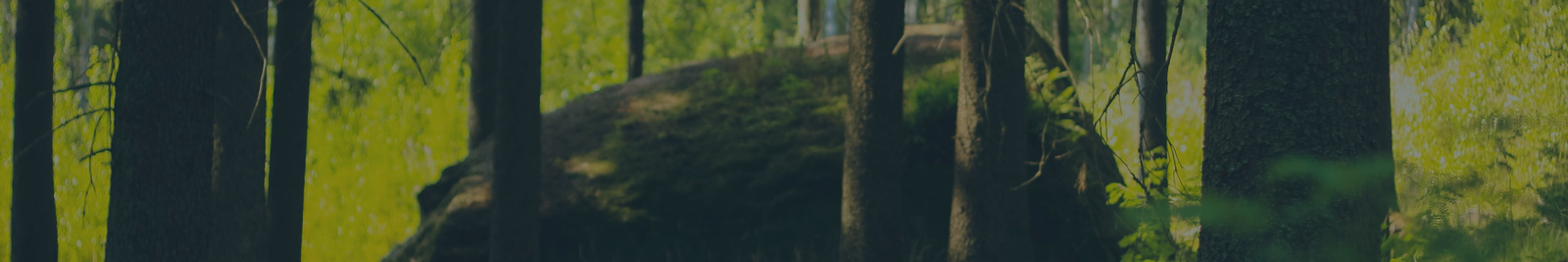 FAQs banner