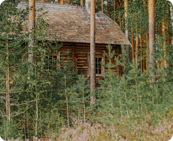 Woodland host stay