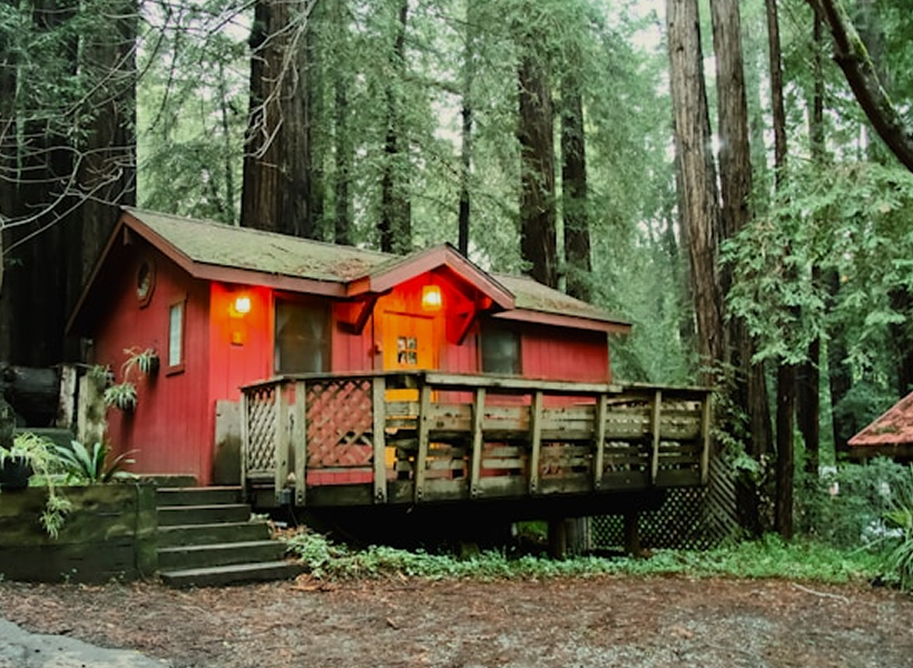 
      Treehouse U Lesa