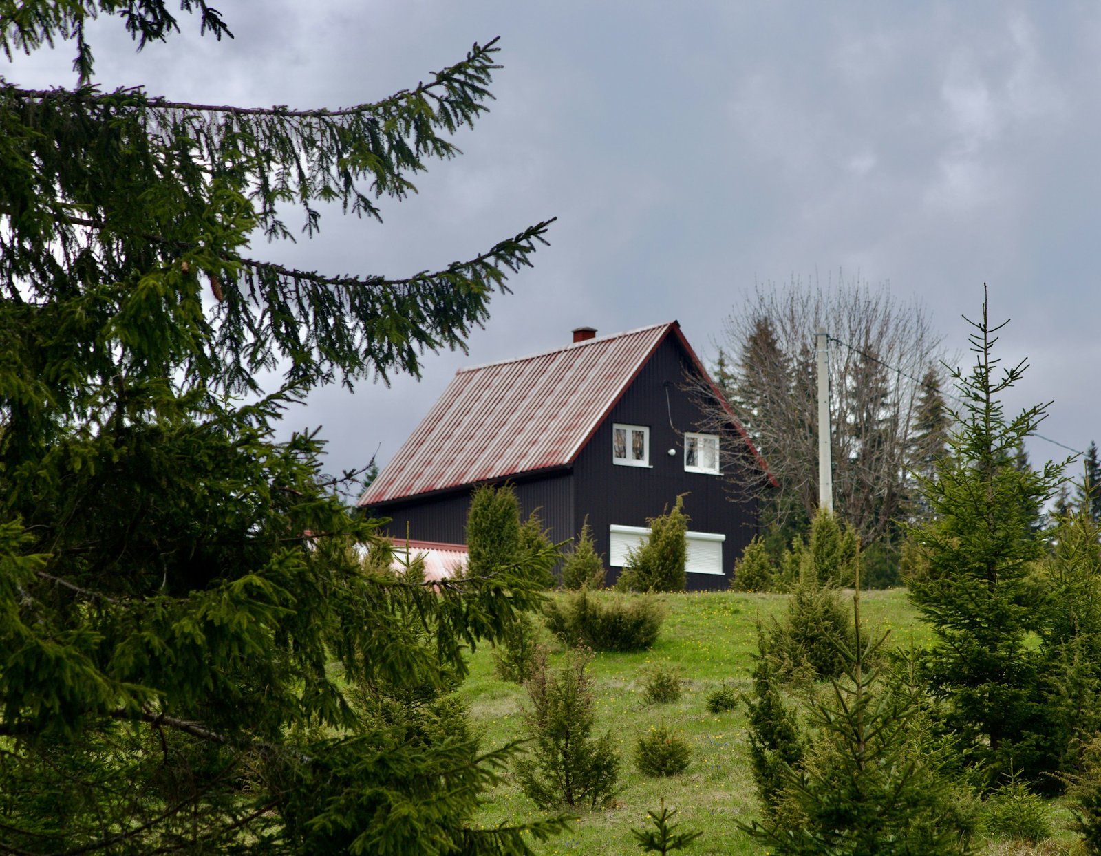 
      Forest Retreat Na Samote